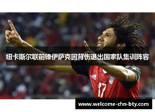 纽卡斯尔联前锋伊萨克因背伤退出国家队集训阵容